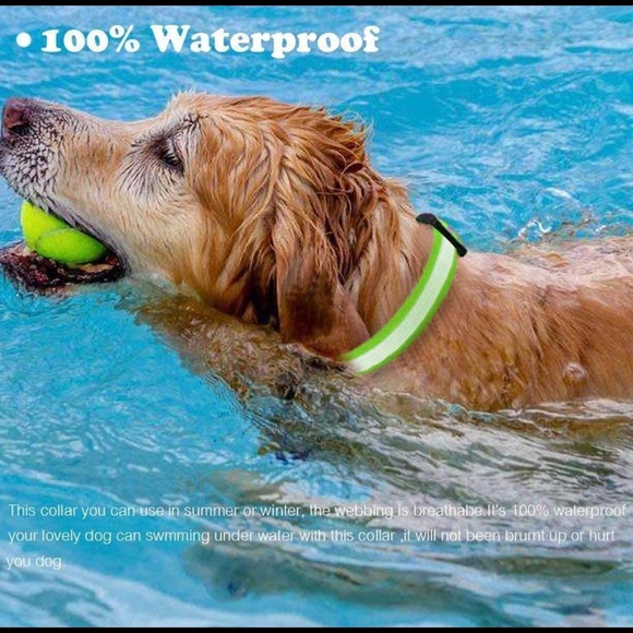 🆕LED Dog Colar - Picture 3 of 10